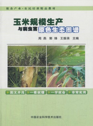 玉米規模生產與病蟲害原色生態圖譜