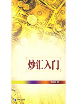 炒匯入門