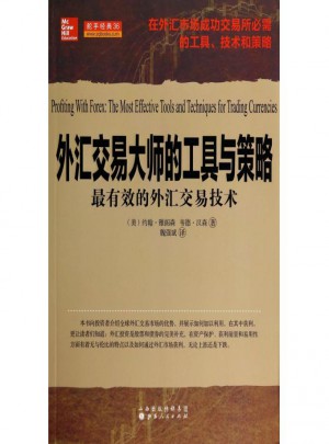 外匯交易大師的工具與策略