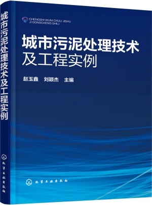 城市污泥處理技術(shù)及工程實(shí)例