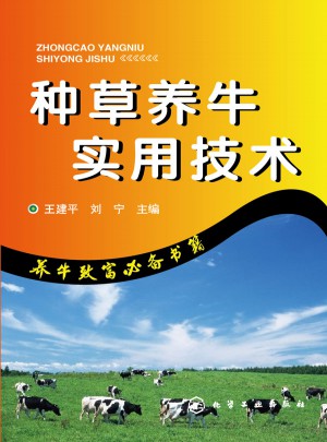 種草養牛實用技術