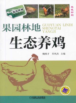 果園林地生態養雞