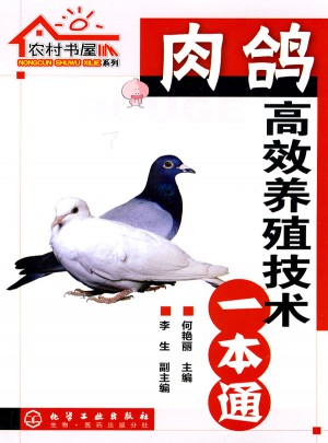 農村書屋系列:肉鴿高效養殖技術一本通