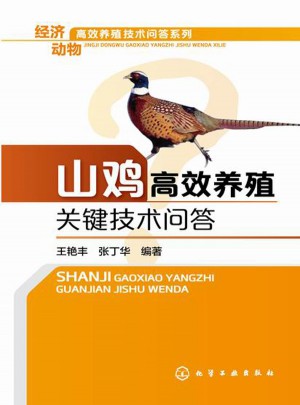 山雞高效養殖關鍵技術問答
