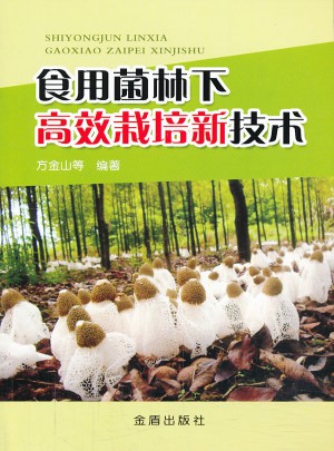食用菌林下高效栽培新技術