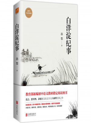 白洋淀紀(jì)事（未刪節(jié)完整全新珍藏版）