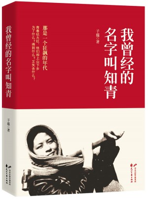 我曾經的名字叫知青