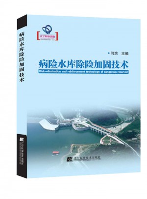 病險(xiǎn)水庫除險(xiǎn)加固技術(shù)