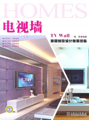家居創(chuàng)意設(shè)計(jì)效果圖集·電視墻