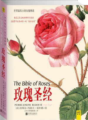 玫瑰圣經