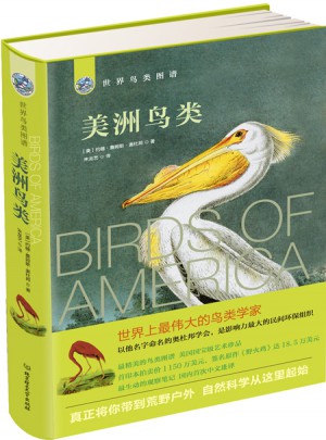 世界鳥類圖譜：美洲鳥類