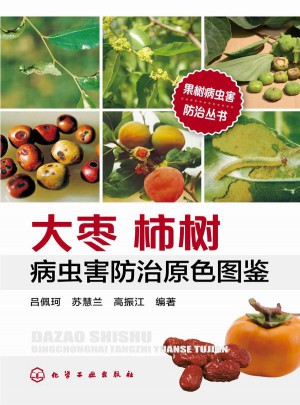 大棗柿樹病蟲害防治原色圖鑒