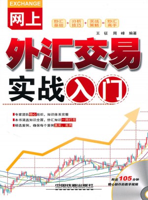 網上外匯交易實戰入門