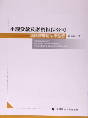 小額貸款及融資擔保公司風險管理與法律監管