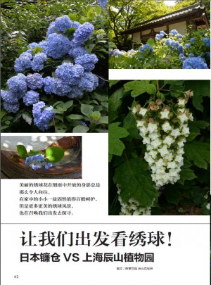 花園MOOK·繡球號(hào)