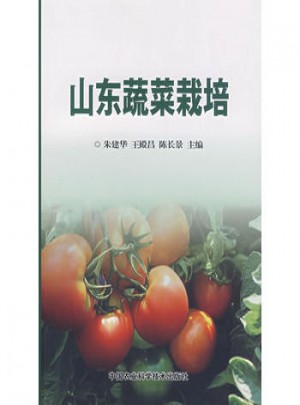 山東蔬菜栽培