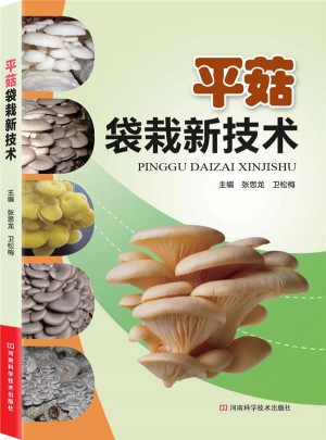 平菇袋栽新技術