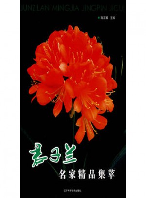 君子蘭名家精品集萃