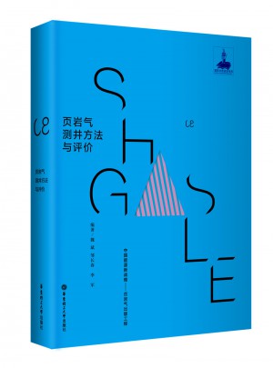 頁(yè)巖氣測(cè)井方法與評(píng)價(jià)
