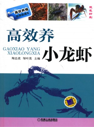 高效養小龍蝦