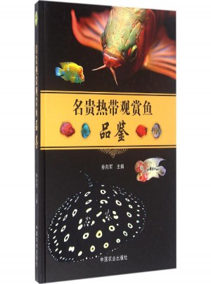 名貴熱帶觀賞魚品鑒