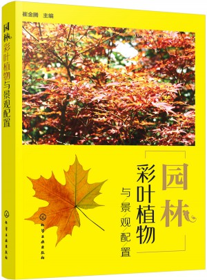 園林彩葉植物與景觀配置