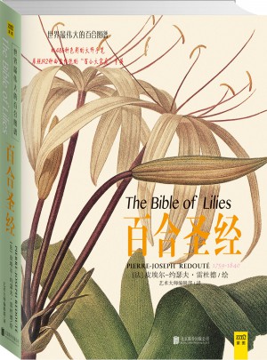 百合圣經