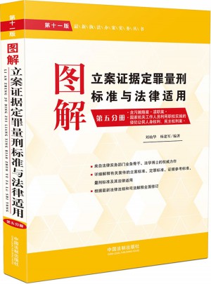 圖解立案證據(jù)定罪量刑標準與法律適用（第十一版·第五分冊）