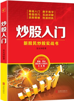炒股入門：新股民炒股實戰(zhàn)書
