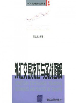 個人理財知識讀本B：外匯交易技巧與實戰(zhàn)圖解