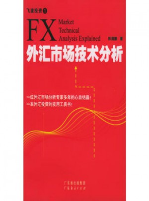 外匯市場技術(shù)分析：飛渡投資（1）