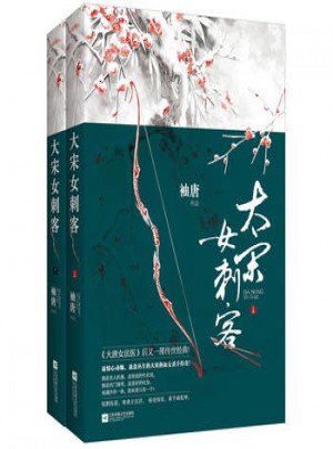 大宋女刺客