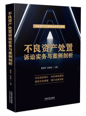 不良資產處置訴訟實務與案例剖析