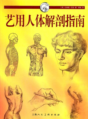 藝用人體解剖指南