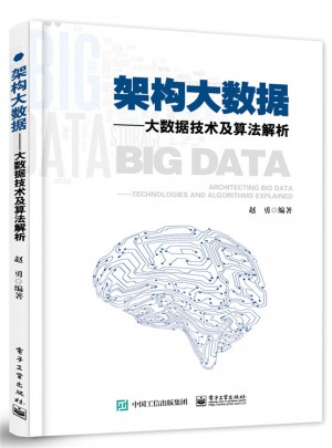 架構大數據·大數據技術及算法解析