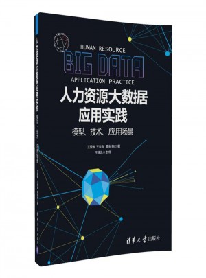 人力資源大數據應用實踐