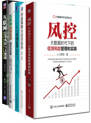 風(fēng)控大數(shù)據(jù)時(shí)代下的信貸風(fēng)險(xiǎn)管理和實(shí)踐（全4冊）