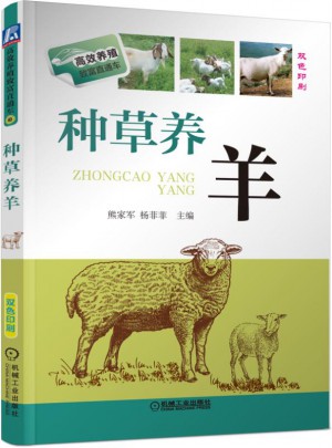 種草養羊