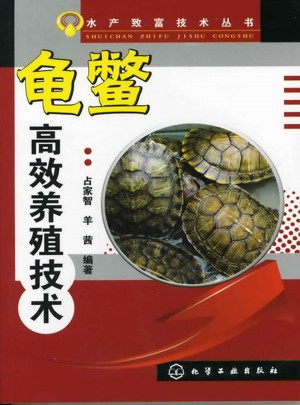 龜鱉高效養(yǎng)殖技術(shù)