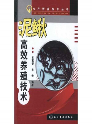 泥鰍高效養(yǎng)殖技術(shù)
