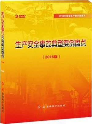 2016版安全生產(chǎn)月警示教育生產(chǎn)安全事故典型案例盤點(diǎn)（3DVD）