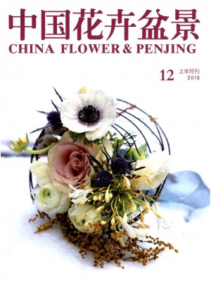 中國(guó)花卉盆景雜志