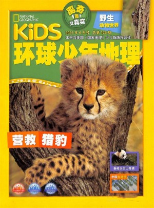 環球少年地理