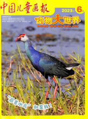 動物大世界