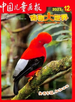 中國兒童畫報(bào)