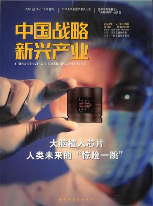 中國戰(zhàn)略新興產業(yè)