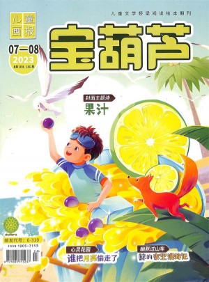 寶葫蘆