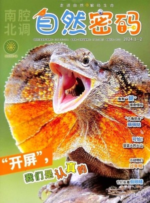 自然密碼