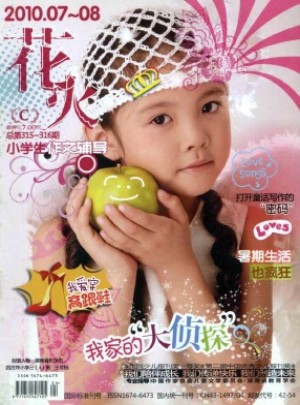 花火·小學(xué)生作文輔導(dǎo)雜志