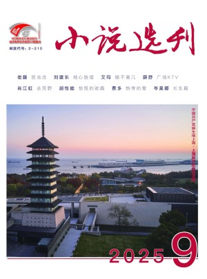 小說選刊